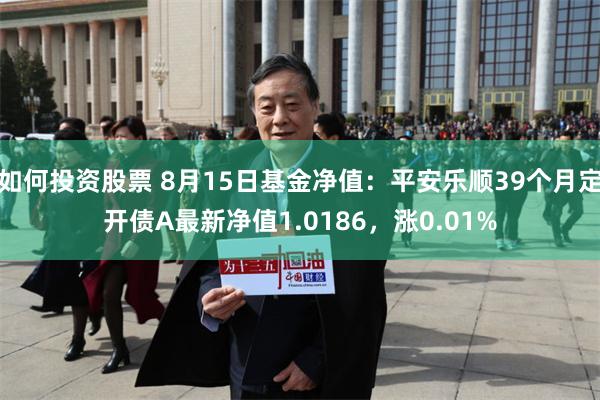 如何投资股票 8月15日基金净值：平安乐顺39个月定开债A最新净值1.0186，涨0.01%