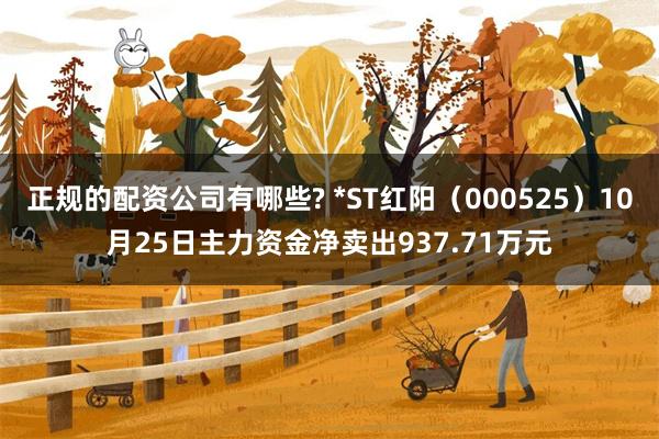 正规的配资公司有哪些? *ST红阳（000525）10月25日主力资金净卖出937.71万元