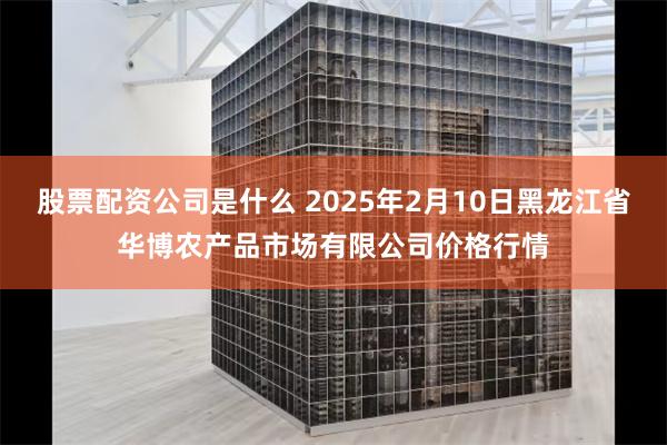 股票配资公司是什么 2025年2月10日黑龙江省华博农产品市场有限公司价格行情