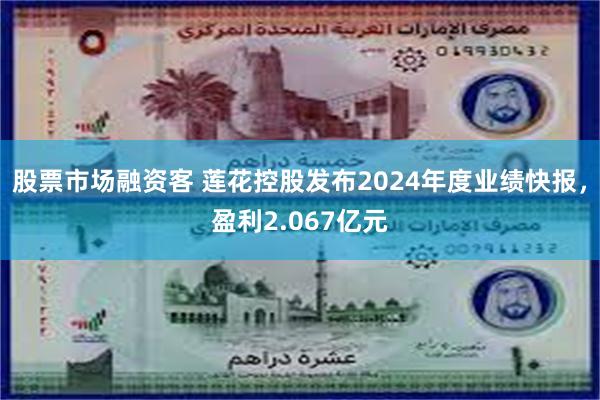股票市场融资客 莲花控股发布2024年度业绩快报，盈利2.067亿元